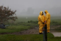 Giới chức Hà Lan ra lệnh tiêu hủy thêm 50.000 gia cầm