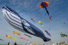 [Photo] Liên hoan Diều Quốc tế lần thứ 28 tại Pháp