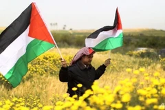 Bỉ chưa sẵn sàng công nhận Nhà nước Palestine ngay lập tức