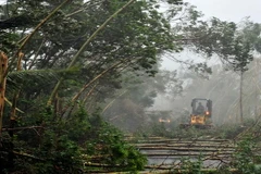 Trung Quốc tiếp tục báo động cao nhất đối với bão Rammasun 