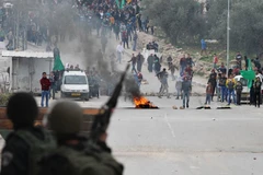 LHQ sẽ bỏ phiếu về dự thảo nghị quyết Palestine trước cuối năm 