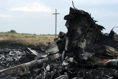 Tổng công tố Ukraine: Dân quân không sở hữu tên lửa BUK