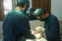 Mổ cấp cứu thành công viêm ruột thừa giờ thứ 24 nơi đảo xa