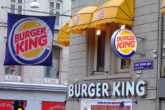 Ảnh minh họa. (Nguồn: wiki)