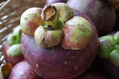 Ảnh minh họa. (Nguồn: fruitnet.com)