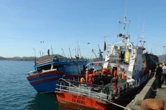 (Ảnh minh họa: Nguyên Lý/TTXVN)