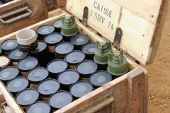 Ukraine cáo buộc Nga đặt mìn trong thời gian sáp nhập Crimea