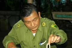 Bệnh viện Bến Tre tiếp nhận nhiều ca bị rắn lục đuôi đỏ cắn