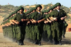 Nga tuyên bố có kế hoạch tập trận quy mô lớn vào năm 2015