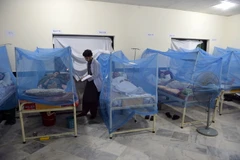 [Infographics] Tìm hiểu về căn bệnh sốt xuất huyết Dengue