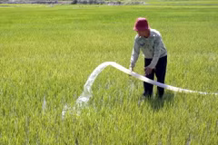 Trung Bộ triển khai công tác chống hạn, xâm nhập mặn