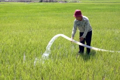 Trung Bộ triển khai công tác chống hạn, xâm nhập mặn