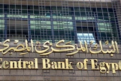 (Nguồn: thecairopost)