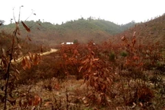 Bắc và Bắc Trung Bộ tiếp tục rét buốt do nhiệt độ giảm sâu