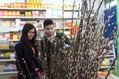 Người Việt tại London vui sắm Tết Nguyên đán Ất Mùi 2015