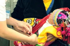 (Ảnh minh họa: Dương Ngọc/TTXVN)