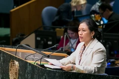 Việt Nam tham dự khóa họp lần thứ 53 của ECOSOC