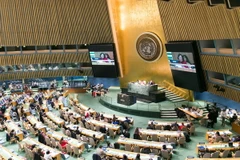 Việt Nam nỗ lực đảm bảo quyền phụ nữ, thu hẹp khoảng cách giới