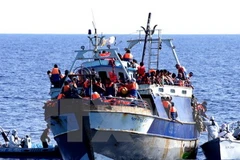 29 người nhập cư trái phép thiệt mạng ở ngoài khơi Italy