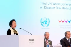 Phó Chủ tịch nước phát biểu tại hội nghị về giảm thiểu rủi ro