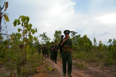 Đoàn đại biểu Rattanakiri làm việc với Ban Chỉ đạo Tây Nguyên
