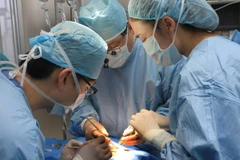 Các bác sỹ Hàn Quốc tiến hành phẫu thuật nụ cười cho trẻ em bị sứt môi, hở hàm ếch tại Bệnh viện Trường Đại học Y Dược Huế. (Ảnh: Nguyễn Thủy/TTXVN)