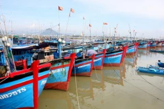 [Video] Tiền Giang: Điều tra vụ hỏa hoạn thiêu rụi 5 chiếc thuyền 