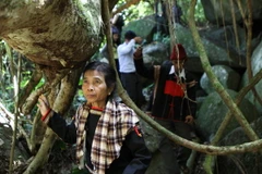 Dịp Tết Ất Mùi 2015, hơn 47.000 du khách đến Đắk Lắk du Xuân