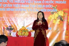 Cộng đồng người Việt Nam tại Berlin đón Xuân quê hương