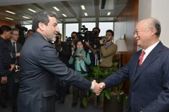Tổng Giám đốc IAEA gặp Thứ trưởng Ngoại giao Iran ở Vienna