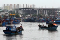 Tàu thuyền di chuyển về neo đậu tránh bão. (Ảnh: Trần Lê Lâm/TTXVN)