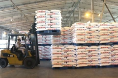 Vận chuyển urê hạt đục trong kho của nhà máy để chuẩn bị đưa ra thị trường tiêu thụ. (Ảnh: Kim Há/TTXVN)