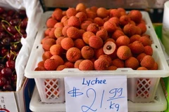 Quả vải Việt Nam tại Australia. ( Ảnh: Quang Minh/Vietnam+)