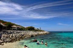 Tour tham quan 4 đảo trên vịnh Nha Trang hút khách đầu năm