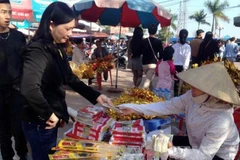 Ảnh minh họa. (Nguồn: Văn Đạt/TTXVN)