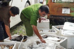 Một vụ vận chuyển nội tạng động vật không rõ nguồn gốc bị phát hiện. (Ảnh minh họa: Hồ Cầu/TTXVN)