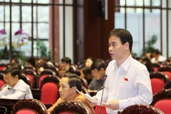 Đại biểu Quốc hội tỉnh Quảng Bình Nguyễn Mạnh Cường phát biểu ý kiến. (Ảnh: Dương Giang/TTXVN)