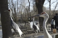 Ảnh chỉ có tính minh họa. (Nguồn: TeleTrader)