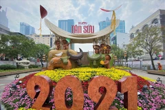 Nova Group tài trợ 2 tỷ đồng xây dựng đường hoa Nguyễn Huệ 2021.