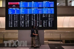 Ảnh minh họa (Nguồn: AFP/TTXVN)