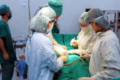 (Ảnh minh họa: Hoàng Nguyên/TTXVN)