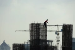 Indonesia khuyến khích lập liên minh phát triển kinh tế Hồi giáo