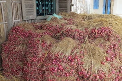 Thông tin người dân bị mù do hóa chất bảo quản hành tím là sai