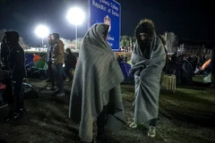 Người di cư tại khu vực làng Kelebija, gần hàng rào biên giới Serbia-Hungary. (Ảnh: AFP/TTXVN)