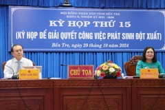 Chủ tọa điều hành kỳ họp. (Ảnh: Công Trí/TTXVN)