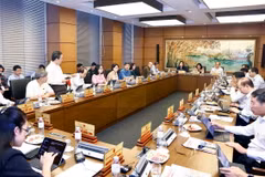 Đoàn đại biểu Quốc hội thành phố Hà Nội thảo luận ở tổ. (Ảnh: Doãn Tấn/TTXVN)