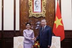 Tổng Bí thư, Chủ tịch nước Tô Lâm tiếp Đại sứ Vương quốc Thái Lan Urawadee Sriphiromya tới trình Quốc thư, nhận nhiệm vụ tại Việt Nam. (Ảnh: Lâm Khánh/TTXVN)