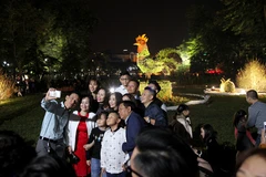 Hình ảnh chú gà trống kiêu hãnh, tượng trưng cho năm Đinh Dậu sắp tới thu hút khá nhiều người chụp ảnh. (Ảnh: Doãn Đức/Vietnam+)