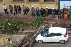 (Ảnh: Ngọc Liên/Vietnam+)