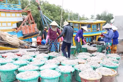Tiền Giang đặt mục tiêu tăng trưởng kinh tế năm nay từ 7-7,5%. (Ảnh: Hữu Chí/TTXVN)
